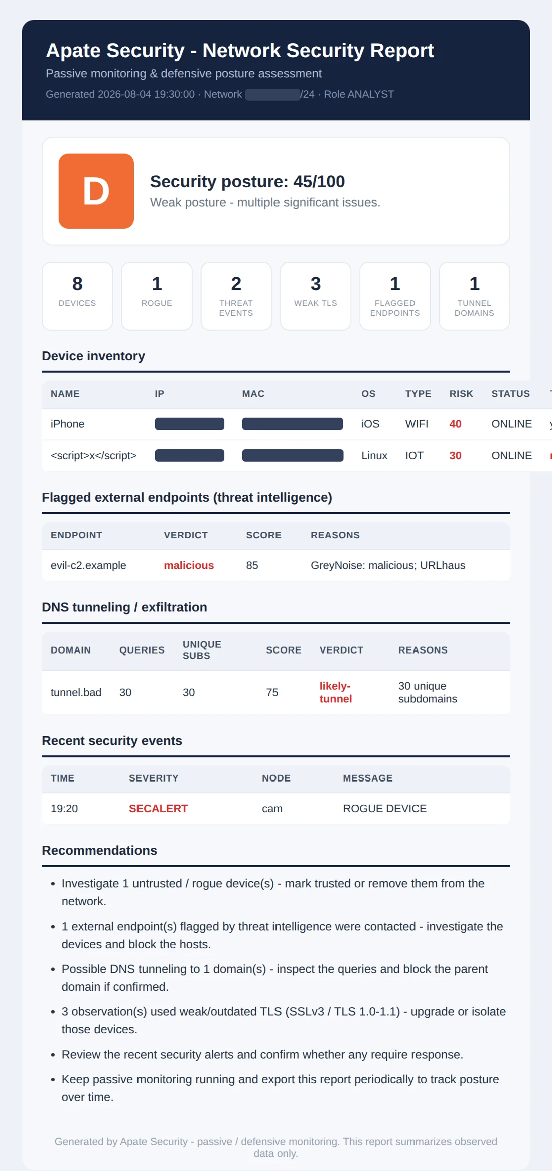 Apate Security network security report